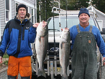 Two beautiful Jersey Fall Stripers Image
