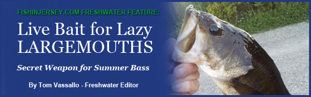 FishinJersey.com's Tom Vassallo on Catching Lazy Largemouths
