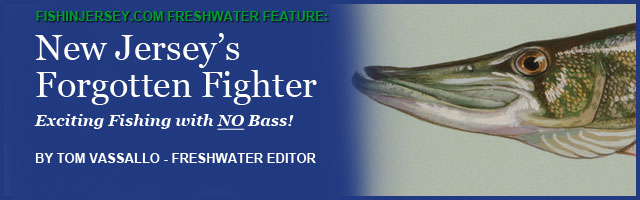 FishinJersey.com's Tom Vassallo on Catching Lazy Largemouths