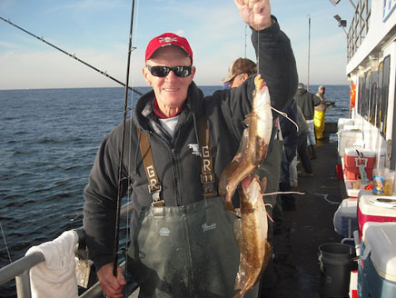 Three Jersey Stripers on one Umbrella Rig Image