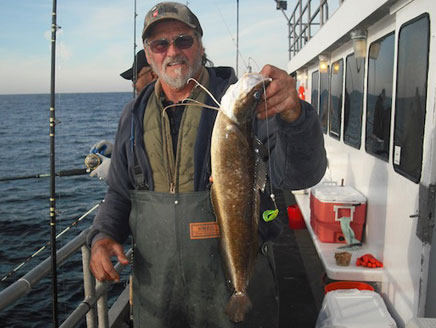 Two beautiful Jersey Fall Stripers Image