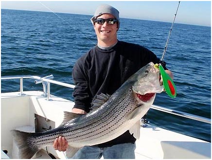 Tony Maja Spoons Image