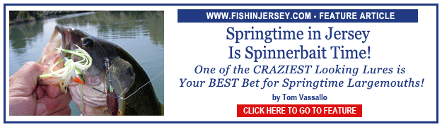 Click to go to our Feature Article