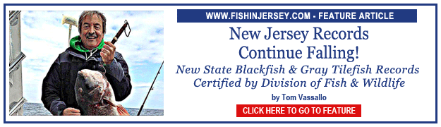 Click to go to our Feature Article