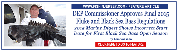 Click to go to our Feature Article