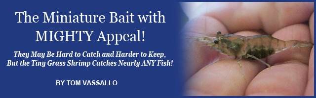 Feature Article Image