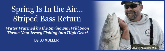 Feature Article Image