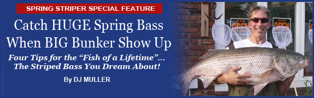 DJ Muller on New Jersey's Striper Stock Feature Article