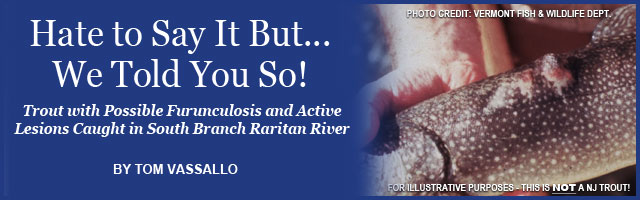 DJ Muller on New Jersey's Striper Stock Feature Article