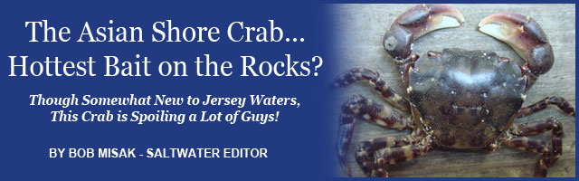 Feature Article Image