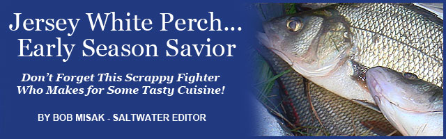 Match the Hatch Feature Image