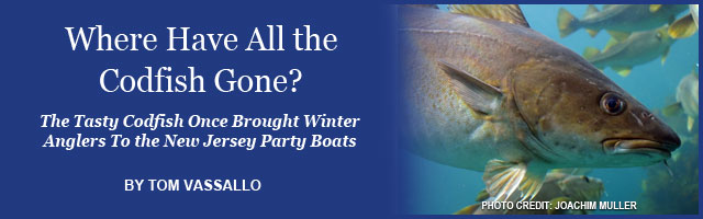 Saltwater Feature Image