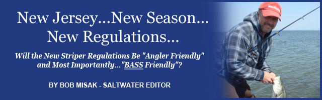 Saltwater Feature Image