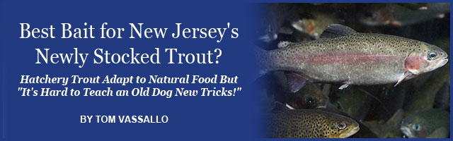 FishinJersey.com Feature Image