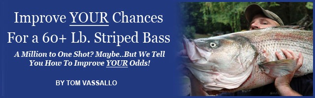 FishinJersey.com Feature Image