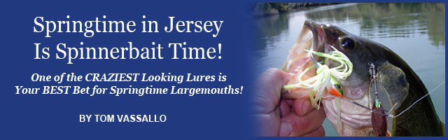 Saltwater Feature Image