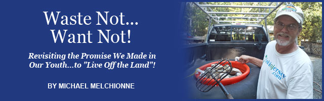 Saltwater Feature Image