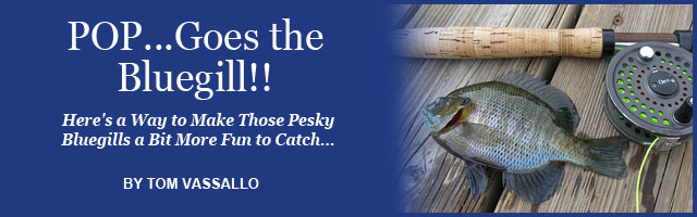 Saltwater Feature Image