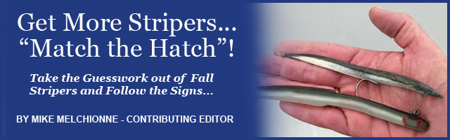 Match the Hatch Feature Image