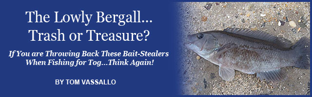 Saltwater Feature Image