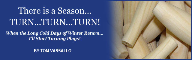 Saltwater Feature Image