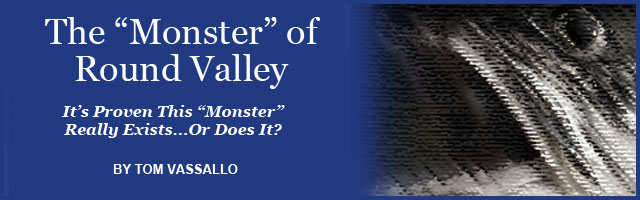 Match the Hatch Feature Image