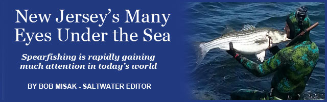 Spearfishing Feature Image