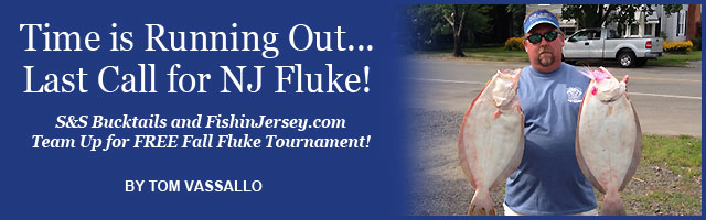 Saltwater Feature Image