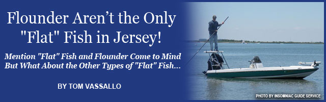 Saltwater Feature Image