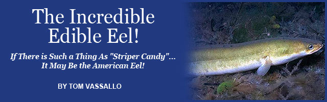 Saltwater Feature Image