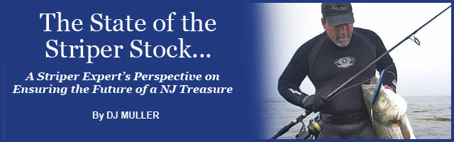 DJ Muller on New Jersey's Striper Stock Feature Article