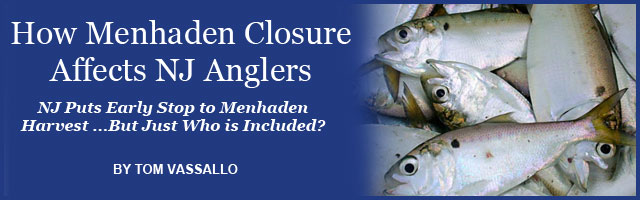 DJ Muller on New Jersey's Striper Stock Feature Article