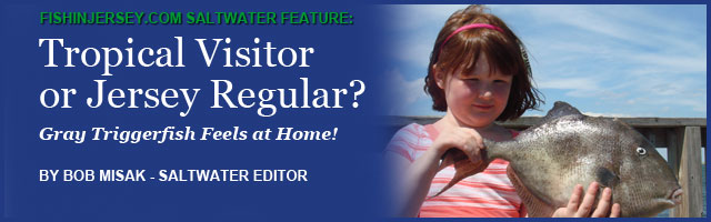 FishinJersey.com's Bob Misak on Catching Large Fluke