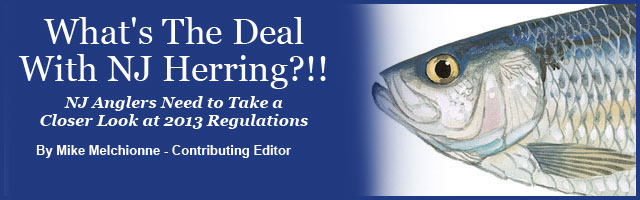 FishinJersey.com's Bob Misak on Catching Large Fluke