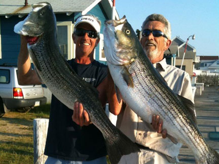 NJ State Record Tirggerfish Caught by Ron Pires