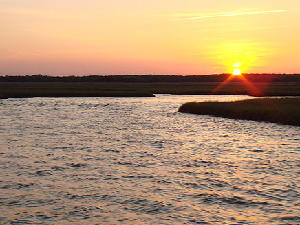 December stripers are smaller cleaner fish