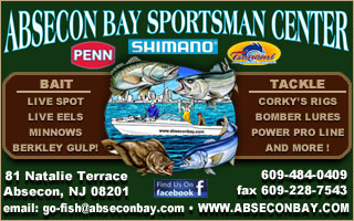 Click On the Image to Visit Our Store