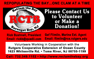 Click to visit the ReClam the Bay Web Site