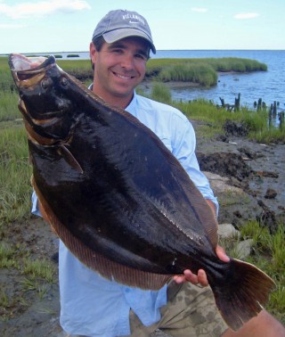 NJ Summer Flounder